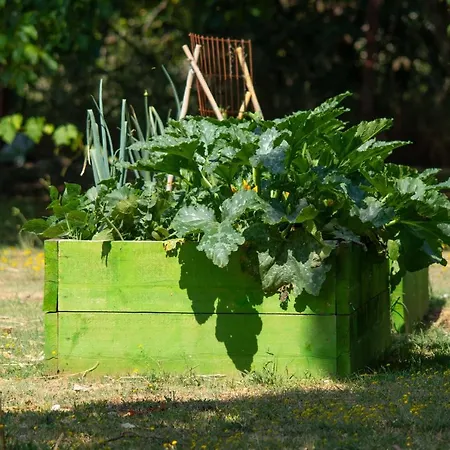 Lipa With Garden Apartment Pula