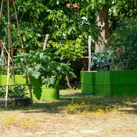 Lipa With Garden شقة