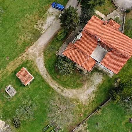 Lipa With Garden